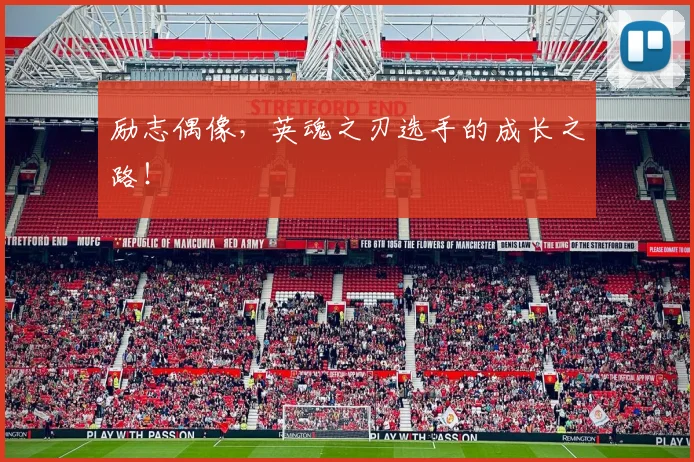 励志偶像，英魂之刃选手的成长之路！